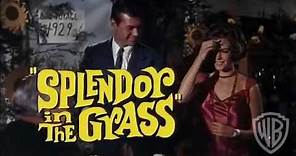 Splendor in the Grass - Trailer