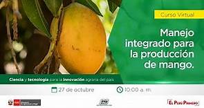 Manejo integrado para la producción de mango.