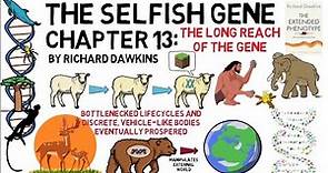 THE SELFISH GENE The Selfish Gene Chapter 13: The Long Reach of the Gene (by Richard Dawkins)