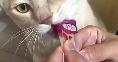 日本寵物零食用品批發 - 無添加🌱貓貓健康零食✨ MonPetit Nature Kiss 💋 ....