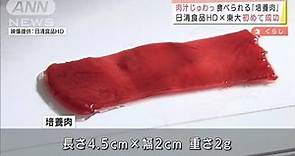 「食べられる培養肉」初めて成功 日清食品HD×東大(2022年4月1日)