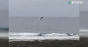 大翅鯨現身蘭嶼 遊客近距離直擊超興奮 - 華視新聞網