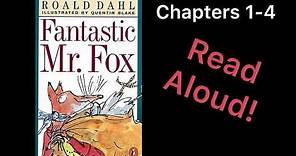 Fantastic Mr. Fox by Roald Dahl Read Aloud Chapters 1-4