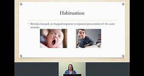 Habituation & Dishabituation in developmental psychology - with Dr Z
