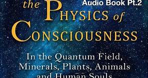 Audiobook: Pt.2 The Physics of Consciousness, by Ivan Antic
