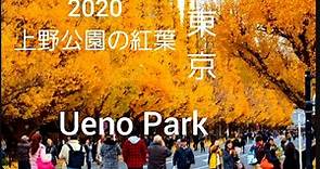 Ueno Park||Autumn Leaves||上野公園の紅葉｢東京の紅葉｣