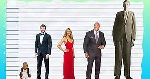 How Tall Is Bradley Cooper? - Height Comparison!