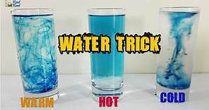 Diffusion of Food Dye In Hot & Cold & Warm Water