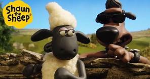 Shaun the Sheep 🐑 Who let the new dog out! - Cartoons for Kids 🐑 Full Episodes Compilation [1 hour]