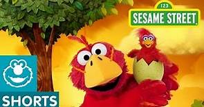 Sesame Street: Bird Musical Preview! | Elmo the Musical