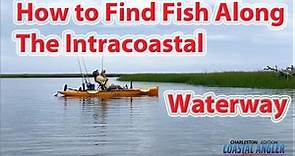 HOW TO FIND FISH ON THE INTRACOASTAL WATER WAY - TOPWATER CHARTERS Puts On A Great Clinic!