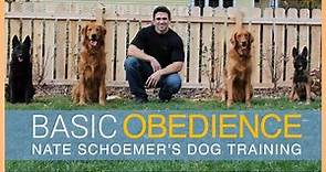 Basic Obedience Dog Training Course - FULL COURSE FREE on YouTube!