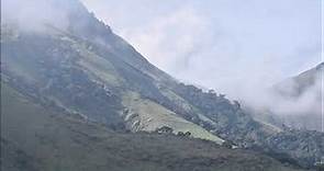 La Réserve naturelle intégrale du mont Nimba