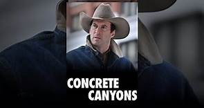 Concrete Canyons