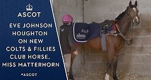 Eve Johnson Houghton on new Colts & Fillies horse Miss Matterhorn