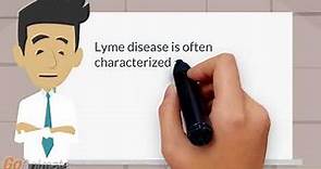 3 stages of Lyme disease