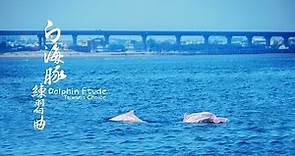 《白海豚練習曲》Dolphin Etude: Taiwan's Choice #白海豚