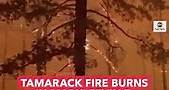 Tamarack Fire burns in California