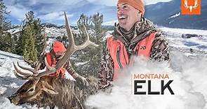 MeatEater Season 12 | Montana Elk