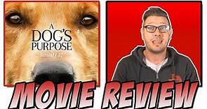 A Dog's Purpose (2017) - Movie Review