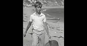 Movie Kids series - 1960 : " Raymie", starring 12 y.o. David Ladd
