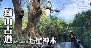 獅山古道訪古廟．七星神木超驚艷!!! (Shishan Historical Trail)