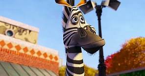 DreamWorks Madagascar en Español Latino | Marty Mejores Momentos | Dibujos Animados