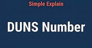 What Is a Data Universal Numbering System (DUNS) Number?