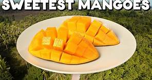 The Sweetest Mangoes In the World