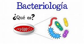 🦠 ¿Qué es la Bacteriología? 🦠 [Fácil y Rápido] | BIOLOGÍA |