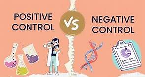 Positive Control vs Negative Control | Experimental Group