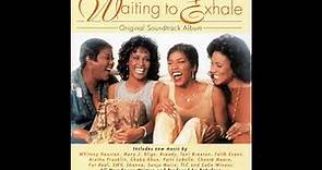 Whitney Houston - Why Does It Hurt So Bad (from Waiting to Exhale - Original Soundtrack)