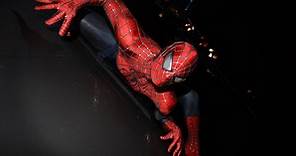 Steve Ditko, Spider-Man Co-Creator, Dies At 90 - CBS New York