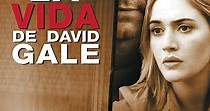 La vida de David Gale - película: Ver online en español