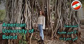 الجامعة الأمريكية في بيروت | American University of Beirut (AUB)