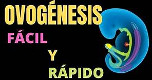 OVOGÉNESIS: Fácil y rápido