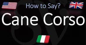 How to Pronounce Cane Corso? (CORRECTLY) Italian & English Pronunciation