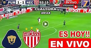 Pumas vs. Necaxa EN VIVO hoy jornada 4 clausura 2024 pumas vs. necaxa partido completo hoy en vivo