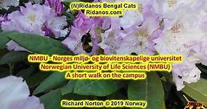 Norwegian University of Life Sciences