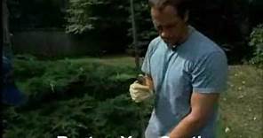 Dirty Jobs : Foul & Fabulous : Septic Tank Technician (Discovery Channel)