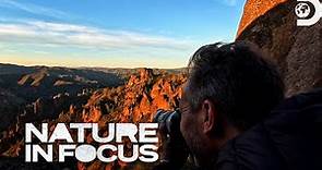 Uncovering Pinnacles National Park | Nature in Focus