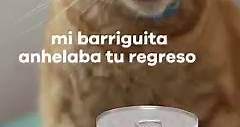 ¿Por qué hay opciones tan deliciosas y no puedo escoger todas, Karen? 😿 Con Hills Prescription Diet Felino I/D Lata cuidas mi sistema inmune y me ayudas a recuperar energía. 📍descúbre más de él: http://bit.ly/40Eawjr *Material técnico y educativo exclusivo para profesionales médicos veterinarios y especialistas de la salud. #Pets #Mascotas #Perros #Latas #Alimento #Sabor | Hill's Pet Colombia