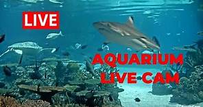 Live Aquarium Webcam