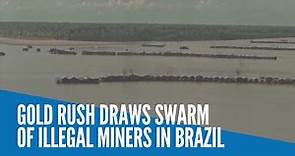 Gold rush draws swarm of illegal miners in Brazil