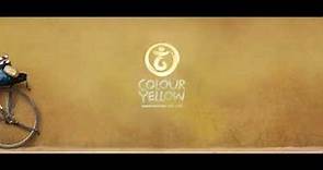 Motion Logo - Colour Yellow Productions