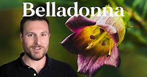 How This Poisonous Plant Became Medicine (Belladonna) | Patrick Kelly