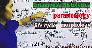 Entamoeba Histolytica || Life Cycle || Morphology || Parasitology By Manisha Ma'am