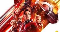 Ant-Man and the Wasp - film: guarda streaming online