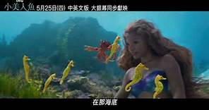 《 小美人魚》搶先看片段_在那海底篇 / 5.25(四)中英文版大銀幕獻映