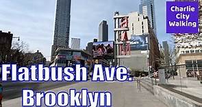 Flatbush Avenue, Brooklyn, New York Walking Tour through Park Slope and Downtown Brooklyn.